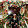 Wolter Soe Wolter Soe's profile photo