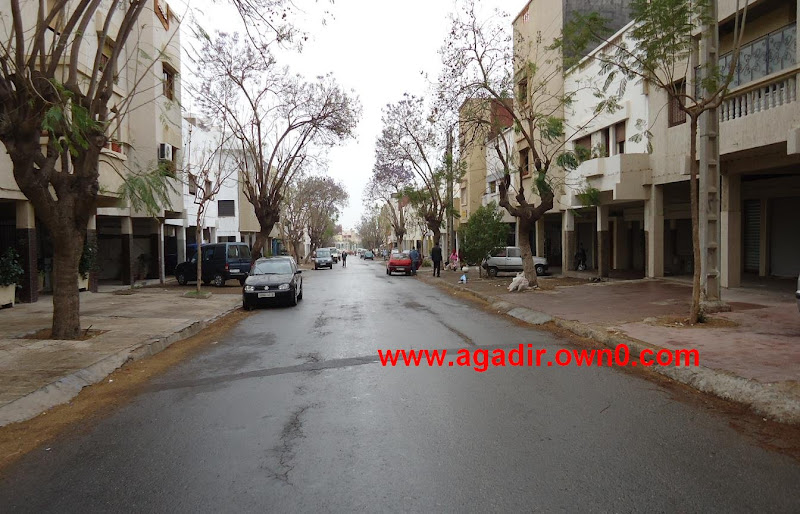 شارع سليمان الروداني حي الموظفين بمدينة اكادير DSC02147