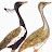 Conserve Lesser Florican
