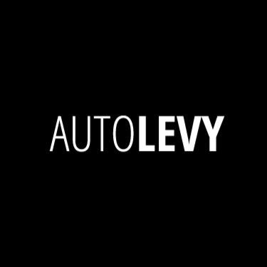 Auto Levy GmbH & Co. KG