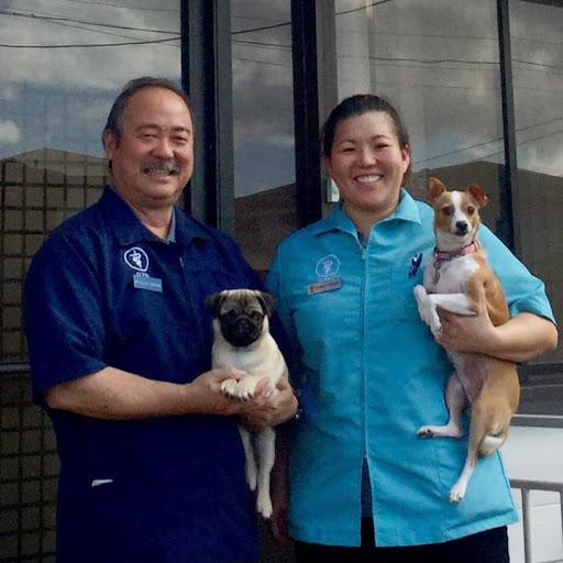 Aina Haina Pet Hospital Inc- Takayama Allen K DVM