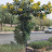 abdulatif Zeno avatar image