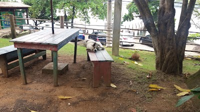 Photos of Restaurante Dona Malaguetta