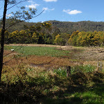 Park Gully wet land (167462)