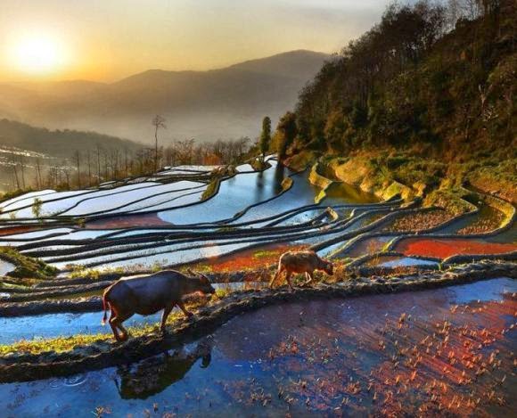 Longshuba China