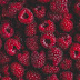 Raspberry Wallpaper for iPhone and Android 