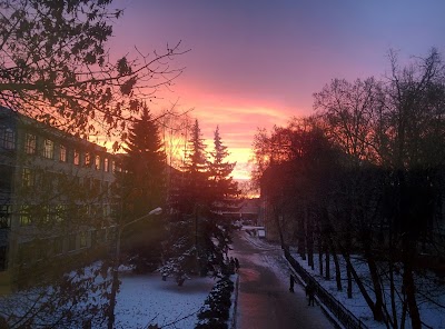 university