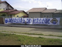 TORCIDA DEMÔNIOS DO MANGUE