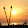 Melissa Tullio Melissa Tullio's profile photo