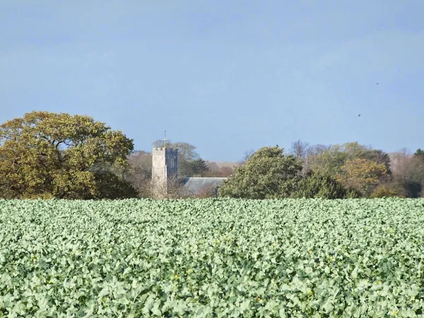 Distant view of Kelsale church