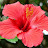 Photo Jpg Photo Jpg picture wallpaper image