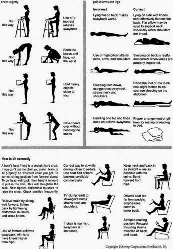 Backache And Self Help Guide