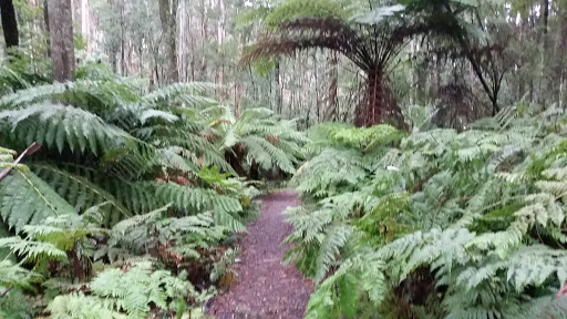 1000 Steps Carpark