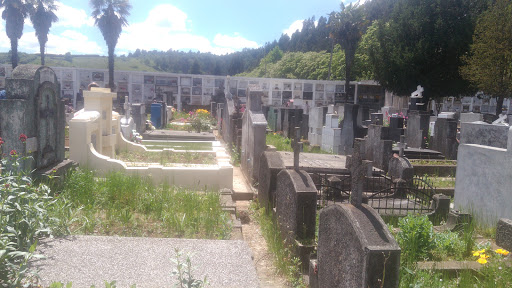 Cementerio General de Temuco, Balmaceda S/N, Temuco, IX Región, Chile, Cementerio | Araucanía