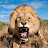 Christopher Vallere' avatar image