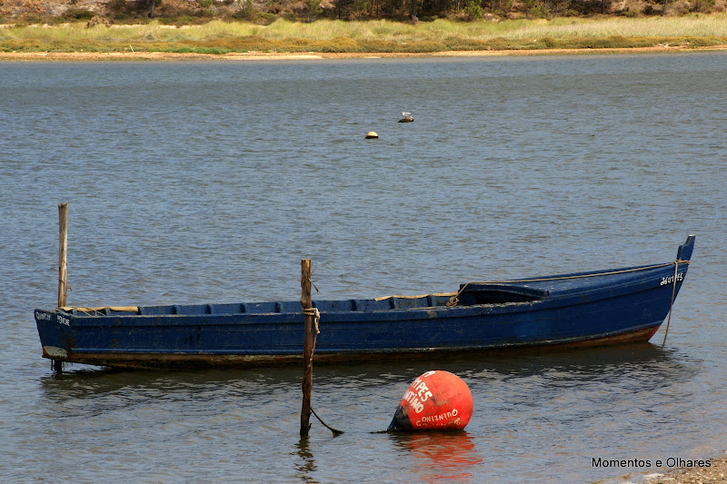 Barco azul