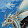 Draco Argentus Draco Argentus's profile photo