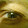 Mark Catlin Mark Catlin's profile photo
