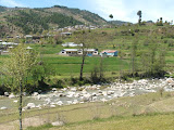 DSCF0550.JPG