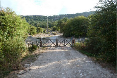 Portón de Madera