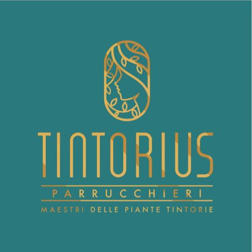 Tintorius Parrucchieri logo