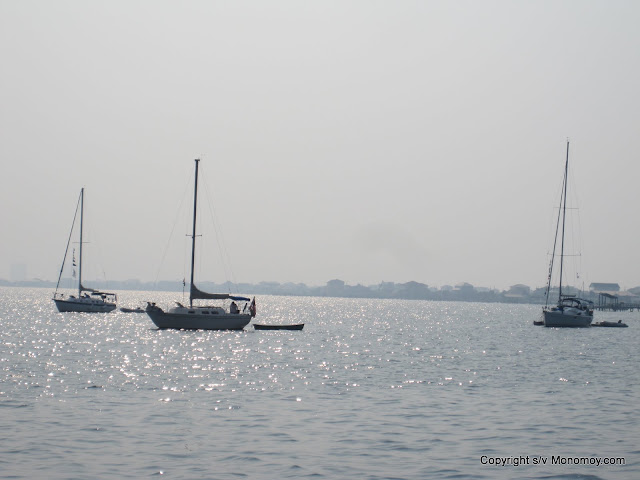 boats