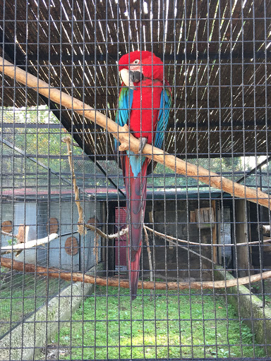 Naples Zoo
