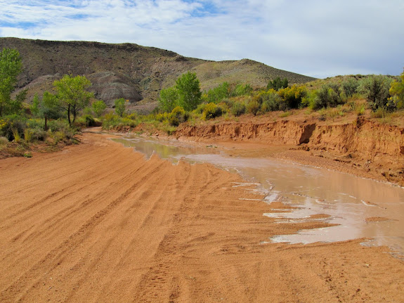 A trickle of water in Mill Canyon