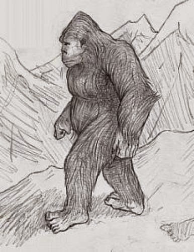 Animal Planet Finding Bigfoot That Paranormal Blog Take On The Show
