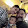 KJ Kim KJ Kim's profile photo