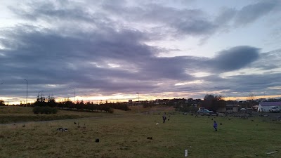 Photos of GeoIceland Tours