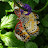 Joel Klar avatar image