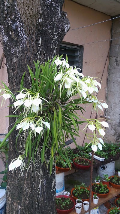 Photos of Casa Colonial