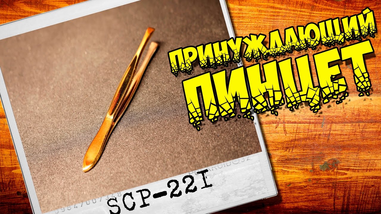 scp%2B221.jpg#.XhIOqKS550Y.link