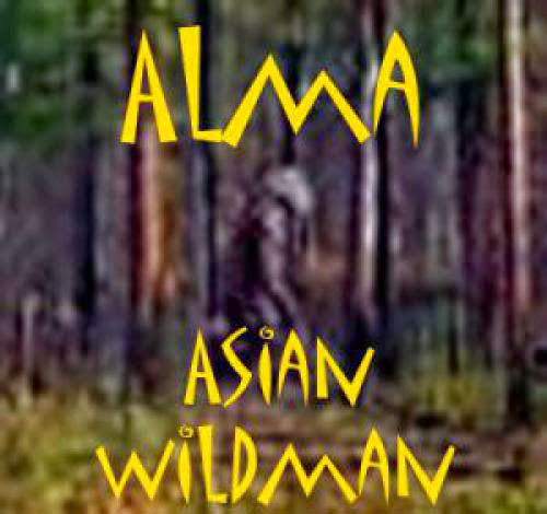 Yeti Almasian Wildman