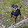 andrei tourubaroff andrei tourubaroff's profile photo