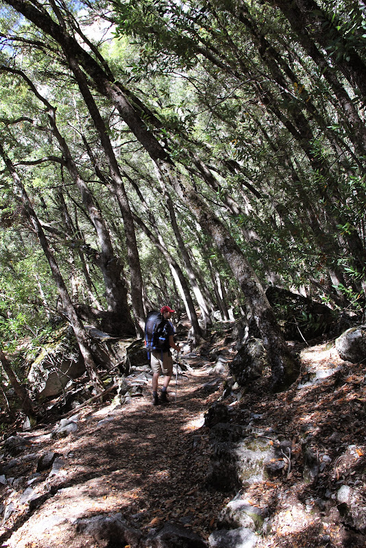 ““““““““““““