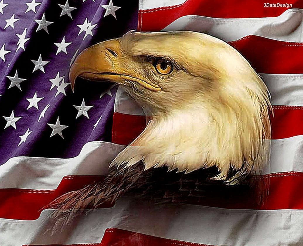 Patriotic Eagle 3D Pictures Best Free Wallpaper