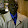 peter wol peter wol's profile photo