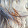 Fauve Fauteux Fauve Fauteux's profile photo