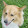 Kotaro Nakagawa Kotaro Nakagawa's profile photo