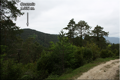 Costoria visto del camino del Cdo. de Hozalares a Barrio Costoria visto del camino del Cdo. de Hozalares a Barrio