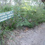 Sign on Chowder Head (57593)