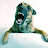 Cabel John Gribben avatar image