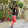 Nikita Bachani Nikita Bachani's profile photo
