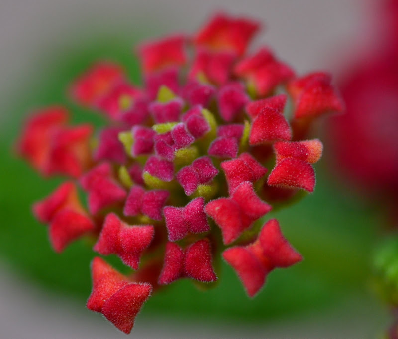 DSC_6112.JPG