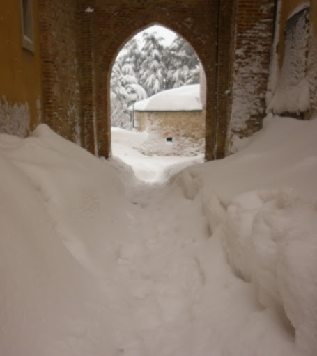 P1000246.JPG