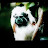 Kimberly Johnson avatar image