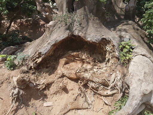 Parc de Can Solei i Ca l'Arnús