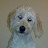 Philip Wall avatar image